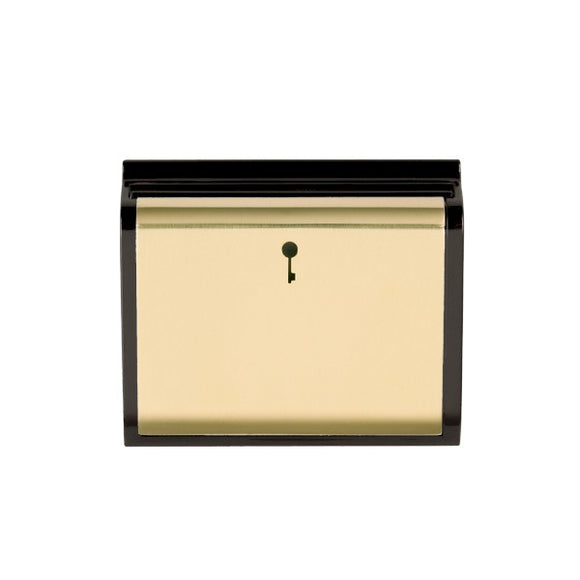 Hamilton MOD-C11PB-B EuroFix 50X50mm Module 10A(6AX) Card Switch On/Off with Blue LED Locator Polished Brass/Black Insert