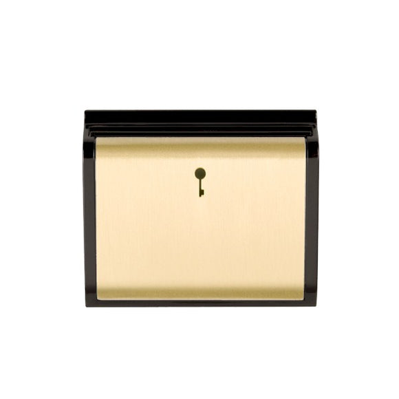 Hamilton MOD-C11SB-B EuroFix 50X50mm Module 10A(6AX) Card Switch On/Off with Blue LED Locator Satin Brass/Black Insert